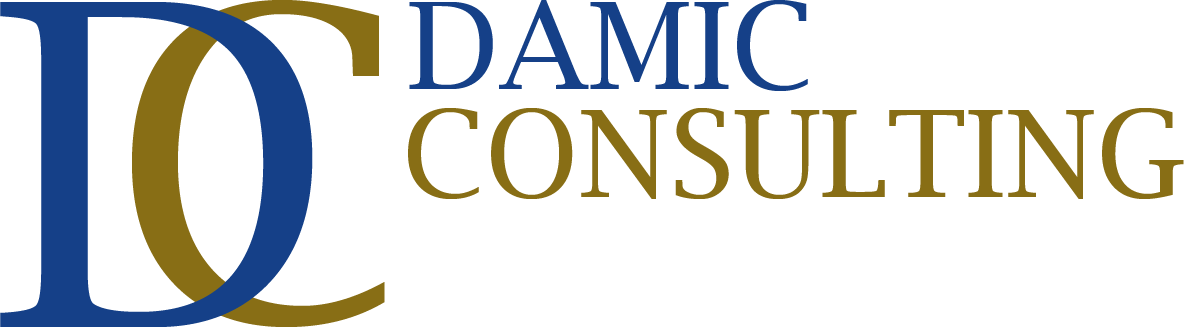 DAMIC Consulting, LLC